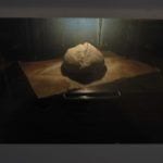 Pan Integral Casero Bio