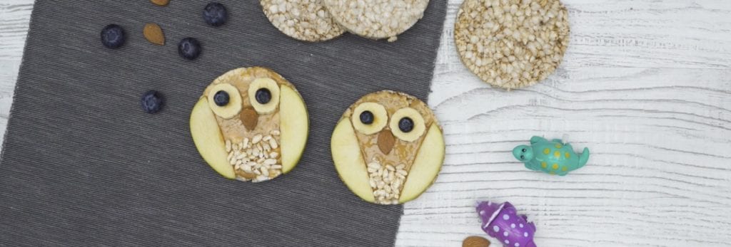Búhos de arroz y quinoa