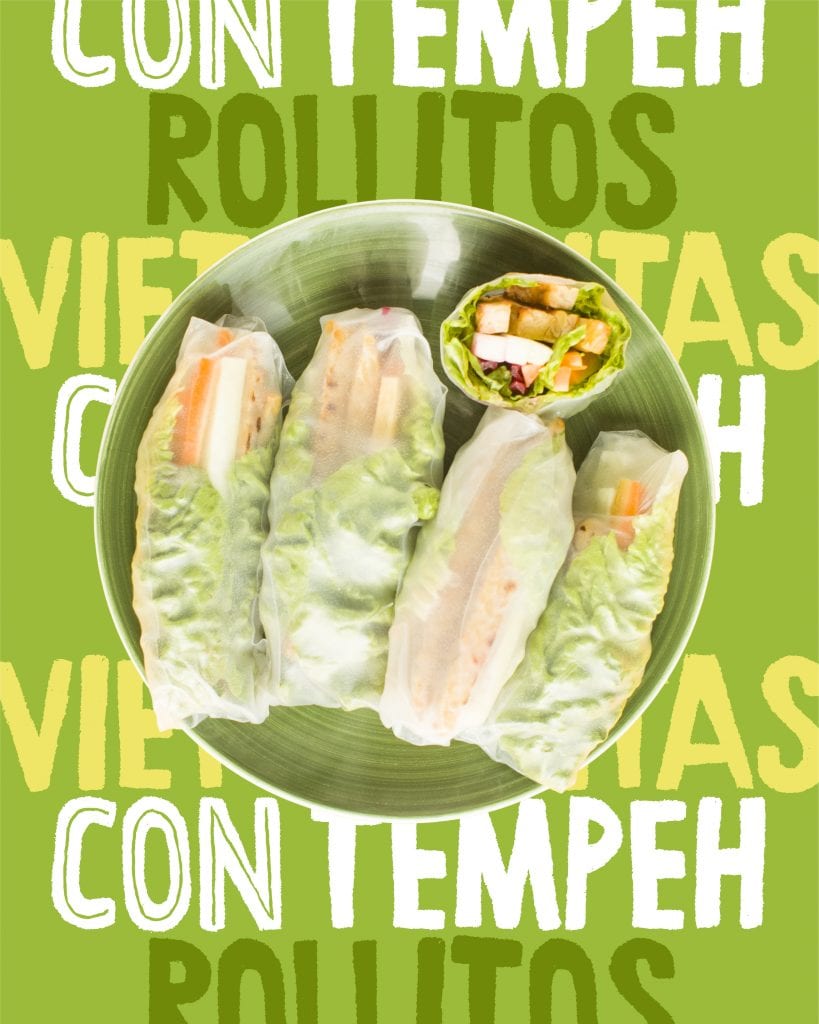 rollitos-vietamitas-ecocesta