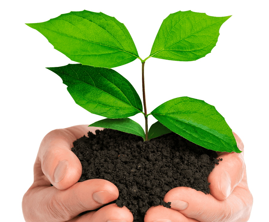Ecocesta - Somos BCORP Ecocesta - Banner home Opt